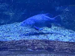 -秦皇岛新澳海底世界
