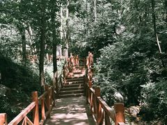 -大岭沟猕猴桃谷风景区