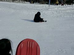 -辽阳弓长岭温泉滑雪场