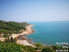 -广东惠东海龟国家级自然保护区