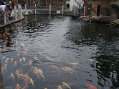 -湖鲜楼