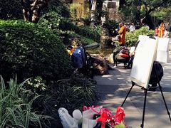 -晓港公园