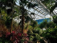 -南山植物园