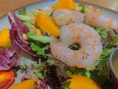 -HELLO 27 意面·沙拉·帕尼尼