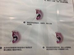 -维乐口腔(格林门诊长宁店)