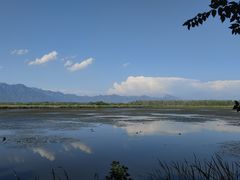 -野鸭湖国家湿地公园