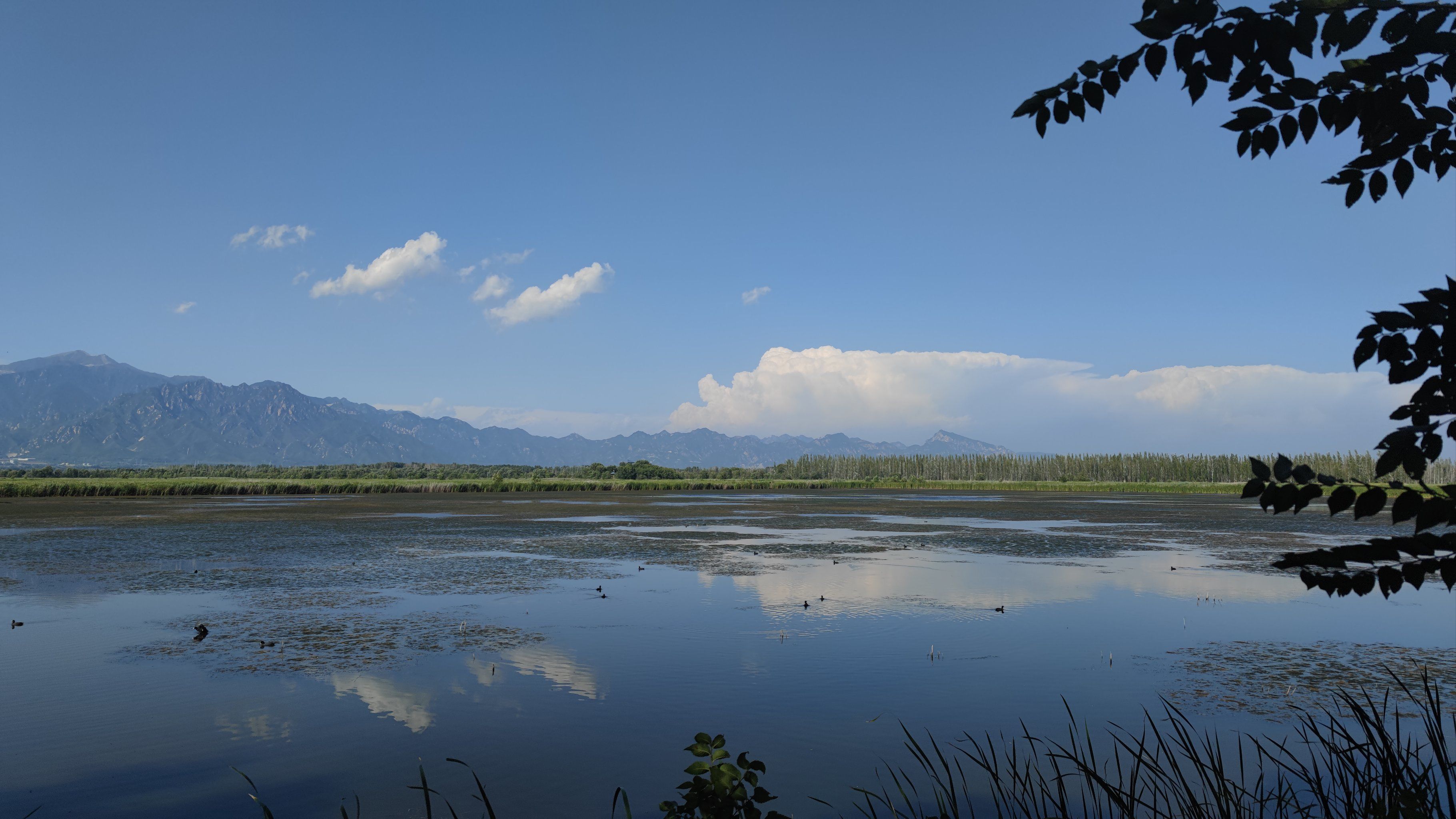北京户外#4:官厅水库的叉湖,观鸟徒步好选项