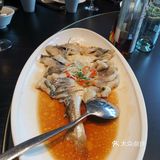           艳阳天的青椒烧乌龟