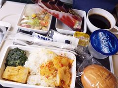 -新加坡航空公司(ION)