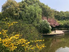 -上海市龙华烈士陵园