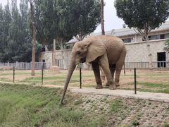 -石家庄市动物园