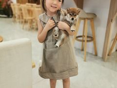 -柴犬小屋·柴餐厅·狗咖食堂(金鼎广场店)