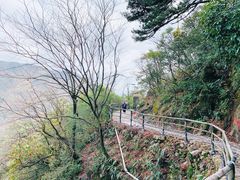 -东天目山风景区