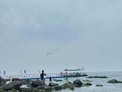 -养马岛旅游度假区
