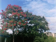 -白塘生态植物园
