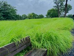 -汉长安城未央宫国家考古遗址公园