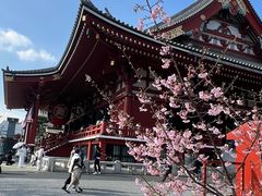 -浅草寺