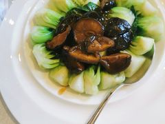 冬菇菜心-上海和平饭店龙凤厅 Dragon Phoenix