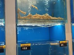 -赶海部落海鲜城(海阳路店)