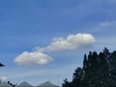 -武汉市青少年宫水上世界