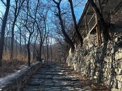 -阳台山自然风景区