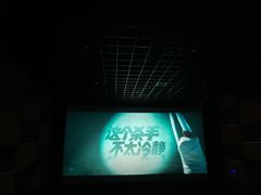 -金逸影城(武汉人信汇IMAX店)