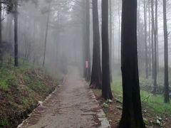 -罗田薄刀峰风景区