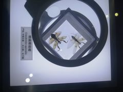 -上海昆虫博物馆