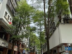 -大鼎沙嗲面(港口路店)