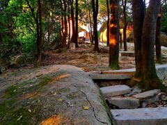 -火炉山森林公园