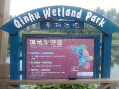 -溱湖国家湿地公园