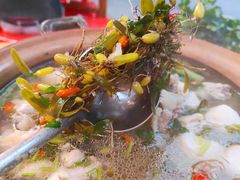 石橄榄炖鸡-洪大厨鸡煲(福田店)