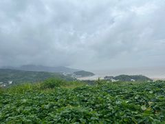 -渔寮风景区