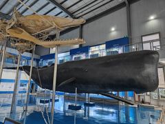 -上海海洋大学鱼文化博物馆(军工路校区)
