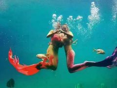 -北戴河圣蓝海洋公园