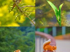 -云溪植物园