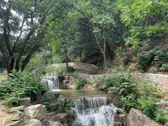 -北京西山国家森林公园