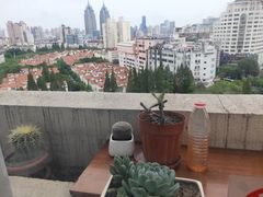 -上海市普陀区中心医院
