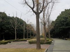 -苏州河梦清园环保主题公园