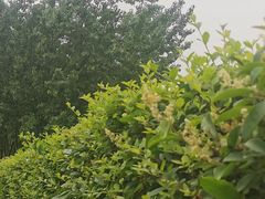 -府河摄影公园