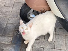 -众想海鲜·烧烤·海肠捞饭·渔家菜(孙家疃店)