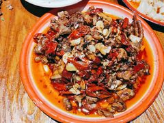 -柴窝堡22号辣子鸡·传承新疆菜