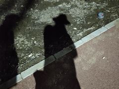 -丁香湖公园