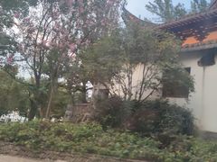 -楠溪江风景名胜区