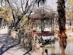 -东平国家森林公园