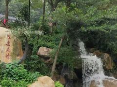 -广州市帽峰山景区
