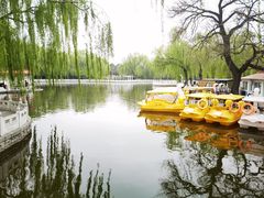 -丰台花园