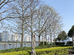 -江滨壹号艺文空间复合餐厅(闽江大道店)