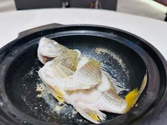 -半岛宴·湛江精品菜(蛇口广场店)