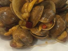 辣炒黄蚬子-渔娘渔家丹东海鲜(东直门店)